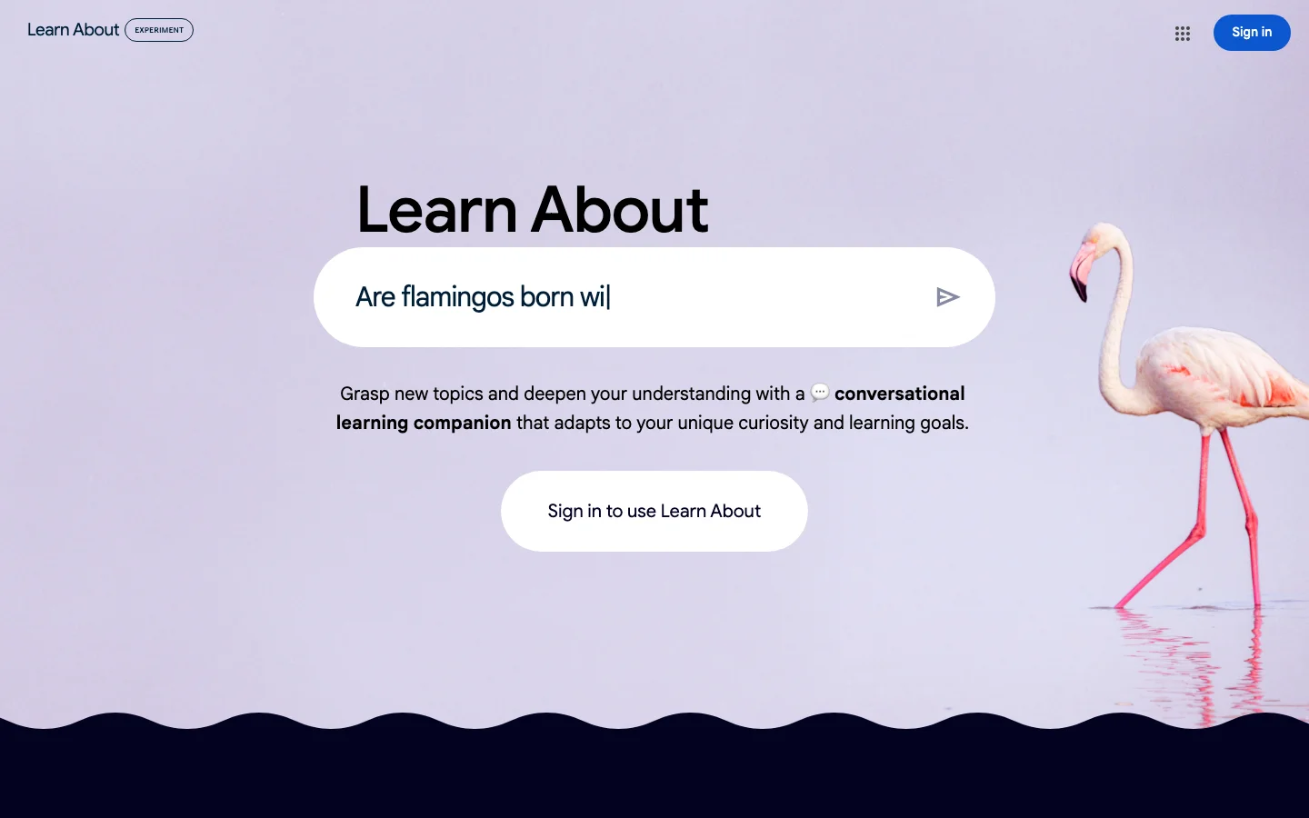 Learn About hero image