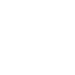 Sturppy icon