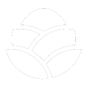 PrayGen icon